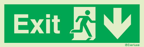 Emergency escape route sign, british standard escape route with text arrow down