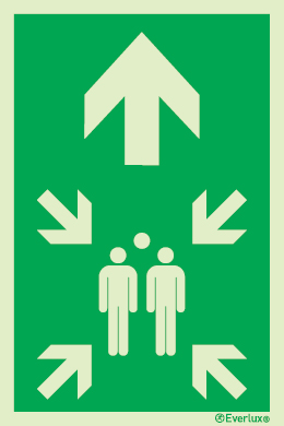 Emergency escape route sign, Assembly point, Arrow up