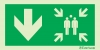 Emergency escape route sign, Assembly point, Arrow down